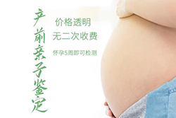 塔城孕期鉴定正规机构去哪里做，塔城孕期的亲子鉴定准确吗